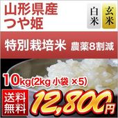 �������� �Ĥ�ɱ��15ǯϢ³�ã�ɾ���� 10kg (2kg��5��) �����ơ����ơۡ�����̵���ۡ��������为�ۡڰ¿��������Ի����ơۡ����ޤ����ǽ�Ŷ�����ۡ�¨���в٤����ƤΤߡ����£�ǯ(2025ǯ)��