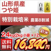 ���� �������� �Ĥ�ɱ ��16ǯϢ³�ã�ɾ���� �����ơ����ơ�24kg��2kg��12�ޡˡ�����̵���ۡ��������为�ۡ�¨���в٤����ƤΤߡۡڰ¿��������Ի����ơۡ����ޤ����ǽ�Ŷ����������8ǯ(2026ǯ)��