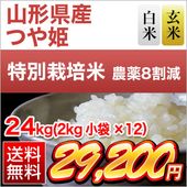 �������� �Ĥ�ɱ��15ǯϢ³�ã�ɾ���� 24kg (2kg��12��) �����ơ����ơۡ�����̵���ۡ��������为�ۡڰ¿��������Ի����ơۡ����ޤ����ǽ�Ŷ�����ۡ�¨���в٤����ƤΤߡ�����7ǯ(2025ǯ)��