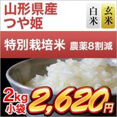 �������� �Ĥ�ɱ��15ǯϢ³�ã�ɾ���� 2kg �����ơ����ơۡ��������为�ۡڰ¿��������Ի����ơۡ����ޤ����ǽ�Ŷ�����ۡ�¨���в٤����ƤΤߡ����£�ǯ(2025ǯ)��