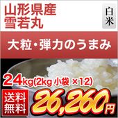 �������� ���ݡ�7ǯϢ³��Aɾ���� 24kg (2kg��12��) ���ơ�����̵���ۡ����ޤ����ǽ�Ŷ�����ۡ�¨���в١�����7ǯ(2025ǯ)��