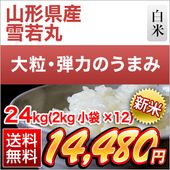 ���� �������� ���ݡ�8ǯϢ³��Aɾ�������� 24kg��2kg��12�ޡˡ�����̵���ۡ�¨���в١ۡ����ޤ����ǽ�Ŷ����������8ǯ(2026ǯ)��