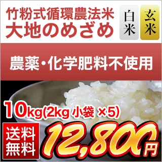 【綺麗な大粒揃い】農薬不使用 化学肥料不使用 ヒノヒカリ 白米 10kg ヒノヒカリ 自然栽培米 10kg 白米 玄米 令和7年産 熊本県産 菊池 自社