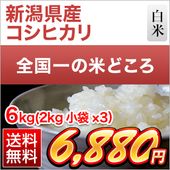 㸩 ҥ  6kg (2kg3)̵ۡ¨в١ۡޤǽŶ6ǯ(2024ǯ)