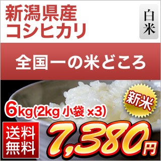 新米 新潟県産 コシヒカリ 白米 6kg (2kg×3袋)【送料無料】【即日出荷