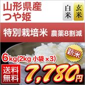   Ĥɱ15ǯϢ³ãɾ 6kg (2kg3) ơơ̵ۡۡ为ۡڰ¿ԻơۡޤǽŶۡ¨в٤ƤΤߡ£ǯ(2025ǯ)