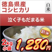 ���� ���縩�� �㤯�Ҥ���ޤ��ơʥ����ҥ���� ���� 2kg��¨���в١ۡ������Ի����ơۡ����ޤ����ǽ�Ŷ����������8ǯ(2026ǯ)��