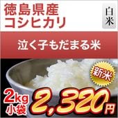  縩 㤯Ҥޤơʥҥ  2kgޤǽŶۡ¨в١ۡԻơ7ǯ(2025ǯ)