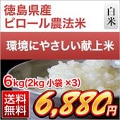 ڿ̸ ԥˡ 6kg(2kg3)̤ơ ơ̵ۡޤǽŶ6ǯ(2024ǯ) 绺ҥ