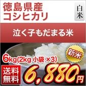  縩 㤯Ҥޤơʥҥ  6kg(2kg3)̵ۡޤǽŶۡ¨в١ۡԻơ7ǯ(2025ǯ) 