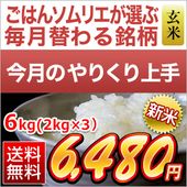 11Τ꤯ۿ ʡ縩 ΤΤĤ ơ6kg2kg3ޡ ̵ۡ¨в١ۡޤǽŶ7ǯ(2025ǯ)