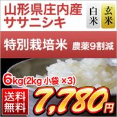 ���������⻺ �����˥��� 6kg(2kg��3��)�����ơ����ơۡ����̺����ơۡ�����̵�������ǽ�Ŷ����������7ǯ(2025ǯ)��