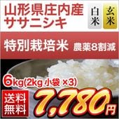 ���������⻺ �����˥��� 6kg(2kg��3��)�����ơ����ơۡ����̺����ơۡ�����̵�������ǽ�Ŷ����������7ǯ(2025ǯ)��