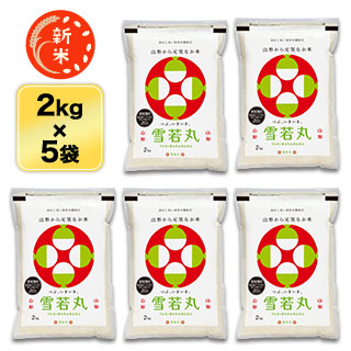   ݡ7ǯϢ³Aɾ 10kg (2kg5) ơ̵ۡޤǽŶۡ¨в١£ǯ(2025ǯ)