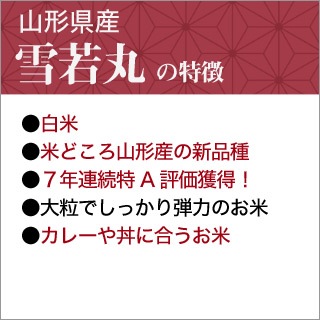   ݡ7ǯϢ³Aɾ 300g (2)3ڿѥå椦ѥå ̵£ǯ(2025ǯ)