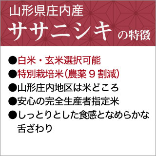 ���������⻺ �����˥��� 2kg�����ơ����ơۡ����̺����ơۡ����ޤ����ǽ�Ŷ����������7ǯ(2025ǯ)��