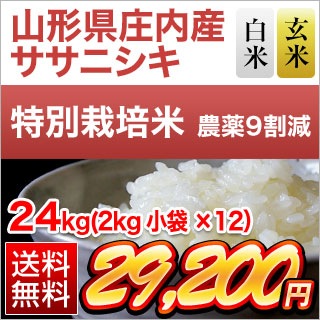 ���������⻺ �����˥��� 24kg(2kg��12��)�����ơ����ơۡ����̺����ơۡ�����̵�������ǽ�Ŷ����������7ǯ(2025ǯ)��