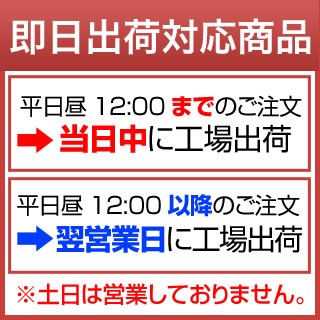äŤߤο͵3￩ Ŀ Ϥ錄 λ ˤޤ   Ĥɱ 6kg2kg3ޡˡ̵ǽŶۡ¨в١6ǯ(2024ǯ)