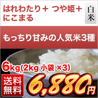 äŤߤο͵3￩ Ŀ Ϥ錄 λ ˤޤ   Ĥɱ 6kg2kg3ޡˡ̵ǽŶۡ¨в١6ǯ(2024ǯ)