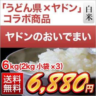 ɥΤǤޤ  6kg(2kg3)ơ̵ۡۡޤǽŶ£ǯ(2024ǯ)