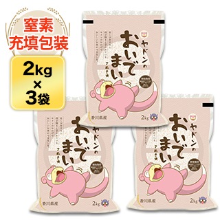 ɥΤǤޤ  6kg(2kg3)ơ̵ۡۡޤǽŶ£ǯ(2024ǯ)