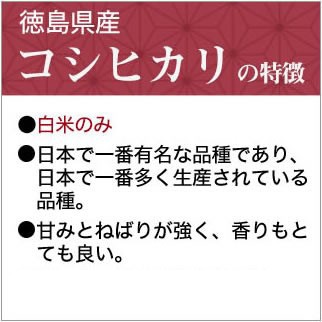 縩 ҥ  2kgޤǽŶۡڽ缡в١6ǯ(2024ǯ)