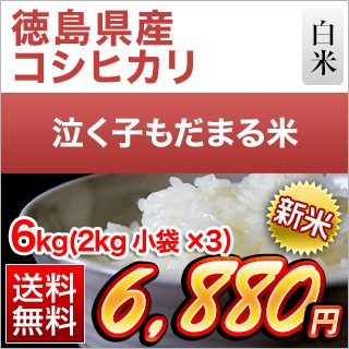  縩 㤯Ҥޤơʥҥ  6kg(2kg3)̵ۡޤǽŶۡ¨в١ۡԻơ7ǯ(2025ǯ) 