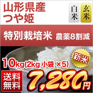 ���� �������� �Ĥ�ɱ ��16ǯϢ³�ã�ɾ���� �����ơ����ơ�10kg��2kg��5�ޡˡ�����̵���ۡ��������为�ۡ�¨���в٤����ƤΤߡۡڰ¿��������Ի����ơۡ����ޤ����ǽ�Ŷ����������8ǯ(2026ǯ)��