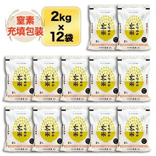 �������� �Ĥ�ɱ��15ǯϢ³�ã�ɾ���� 24kg (2kg��12��) �����ơ����ơۡ�����̵���ۡ��������为�ۡڰ¿��������Ի����ơۡ����ޤ����ǽ�Ŷ�����ۡ�¨���в٤����ƤΤߡ�����7ǯ(2025ǯ)��