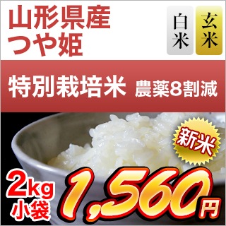 ���� �������� �Ĥ�ɱ ��16ǯϢ³�ã�ɾ���� �����ơ����ơ�2kg���������为�ۡ�¨���в٤����ƤΤߡۡڰ¿��������Ի����ơۡ����ޤ����ǽ�Ŷ����������8ǯ(2026ǯ)��