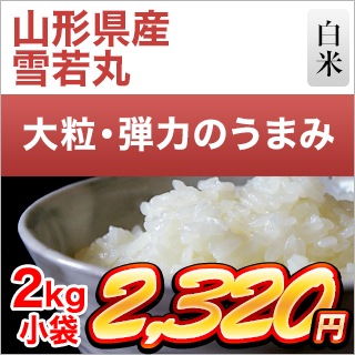 ݡ7ǯϢ³Aɾ 2kg ơޤǽŶۡ¨в١6ǯ(2024ǯ)