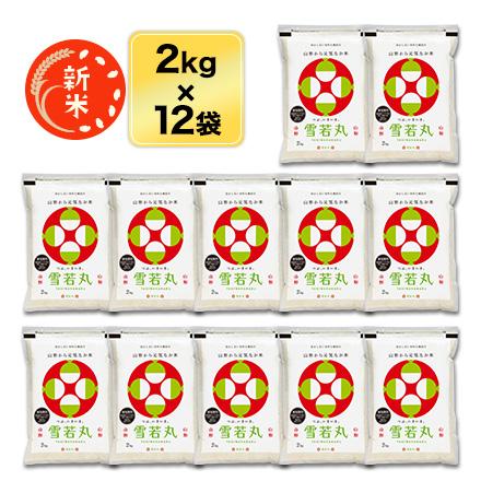 ���� �������� ���ݡ�8ǯϢ³��Aɾ�������� 24kg��2kg��12�ޡˡ�����̵���ۡ�¨���в١ۡ����ޤ����ǽ�Ŷ����������8ǯ(2026ǯ)��