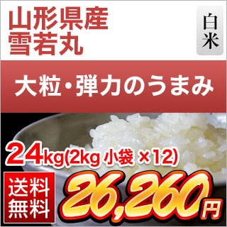 �������� ���ݡ�7ǯϢ³��Aɾ���� 24kg (2kg��12��) ���ơ�����̵���ۡ����ޤ����ǽ�Ŷ�����ۡ�¨���в١�����7ǯ(2025ǯ)��