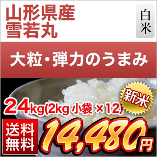 ���� �������� ���ݡ�8ǯϢ³��Aɾ�������� 24kg��2kg��12�ޡˡ�����̵���ۡ�¨���в١ۡ����ޤ����ǽ�Ŷ����������8ǯ(2026ǯ)��