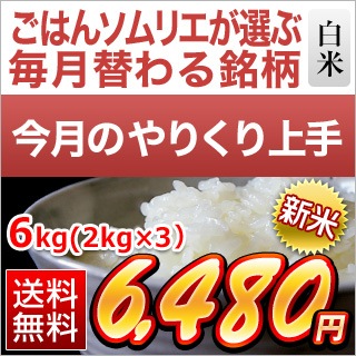 11Τ꤯ۿ ʡ縩 ΤΤĤ ơ6kg2kg3ޡ ̵ۡޤǽŶ7ǯ(2025ǯ)