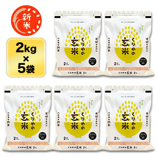 新米 石川県産 夢ごこち 白米・玄米 10kg(2kg×5袋)【送料無料