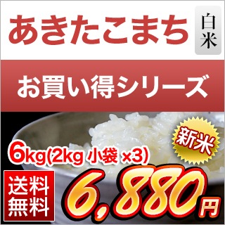  Ÿ ޤ  6kg(2kg3ޡˡ̵ۡޤǽŶۡ¨в١7ǯ(2025ǯ) 