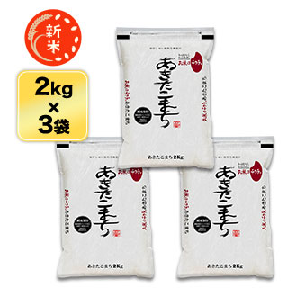  Ÿ ޤ  6kg(2kg3ޡˡ̵ۡޤǽŶۡ¨в١7ǯ(2025ǯ) 