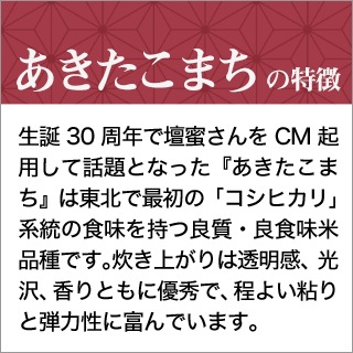  Ÿ ޤ  6kg(2kg3ޡˡ̵ۡޤǽŶۡ¨в١7ǯ(2025ǯ) 