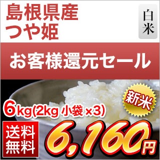 ơڴָۤʹԸ 纬 Ĥɱ  6kg(2kg3ޡˡ15ǯϢ³ãɾ £ǯ(ǯ)