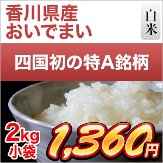 令和6年度香川県産コシヒカリ 玄米30キロ 送料込