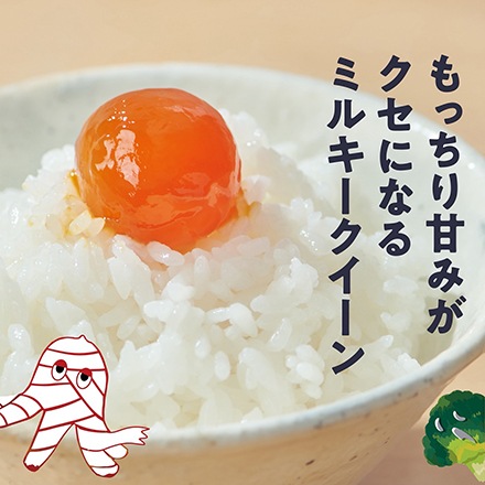 �ڥϥ���������ꥮ�եȡۿ��ƥ����᡼���150g��1�ѥå��˿����ѥå������ơ��椦�ѥ��å��ء�����̵�������£�ǯ(2025ǯ)��