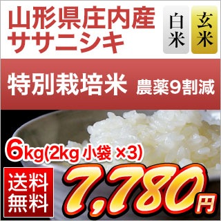 ���������⻺ �����˥��� 6kg(2kg��3��)�����ơ����ơۡ����̺����ơۡ�����̵�������ǽ�Ŷ����������7ǯ(2025ǯ)��