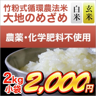 令和5年(2023年)産 竹粉式循環農法米 大地のめざめ（熊本産