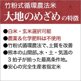 5ǯ(2023ǯ) ʴ۴ˡ ϤΤᤶʷܻ ҥΥҥ 2kgơ ۡޤǽŶڤӲϰԻ