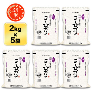  ðͿĮ ҥ 10kg(2kg5) ơơ̵̺ۡۡơۡǽŶۡ¨в٤ƤΤߡ£ǯ(2025ǯ)