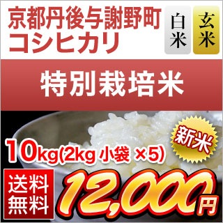  ðͿĮ ҥ 10kg(2kg5) ơơ̵̺ۡۡơۡǽŶۡ¨в٤ƤΤߡ£ǯ(2025ǯ)