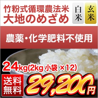 ��ʴ���۴���ˡ�� ���ϤΤᤶ��ʷ��ܻ� �ҥΥҥ���� 24kg(2kg��12��)������̵���ۡ����ơ����� ����ۡ����ޤ����ǽ�Ŷ�����������ڤӲ��������ϰ����Ի��� ����7ǯ(2025ǯ)��