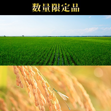 ������Į�� �����ҥ��� 300g(2��) �� 3�ѥå� �����ѥå������ơ��椦�ѥ��å��������������£�ǯ(2025ǯ)��