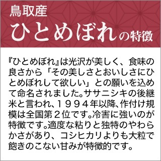 Ļ軺 ҤȤܤ 300g(2)  3ѥå ѥåơ椦ѥå6ǯ(2024ǯ)